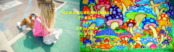 ГАЛЛЮЦИНОГЕННЫЕ ГРИБЫ Армянск