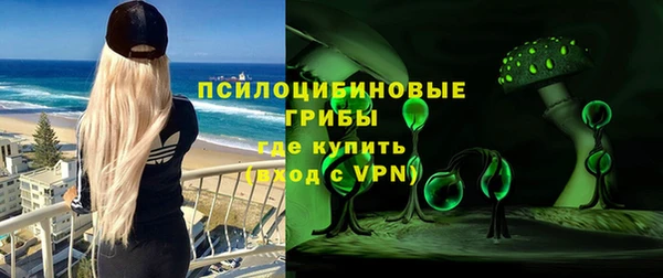 ГАЛЛЮЦИНОГЕННЫЕ ГРИБЫ Армянск