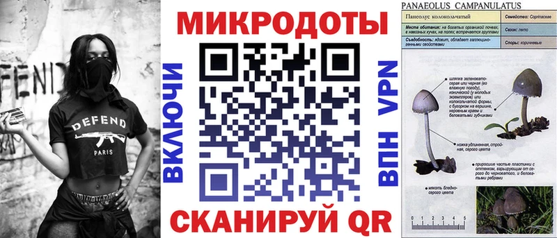 Купить закладки  Сунжа  Псилоцибиновые грибы Cubensis 